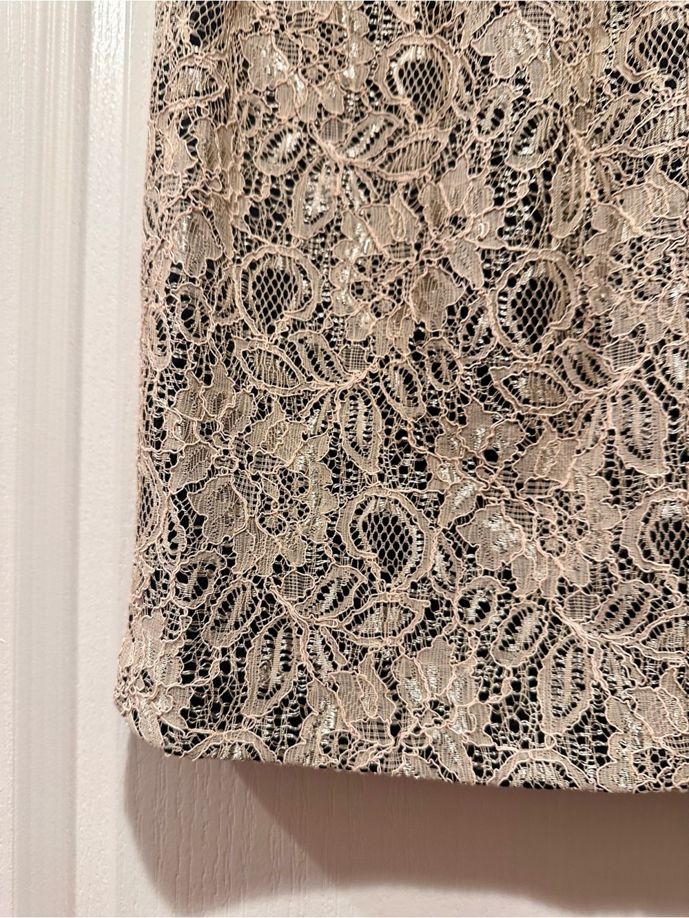 Forever 21 - Lace Pencil Skirt - Perfect Condition! - Picture 6 of 6